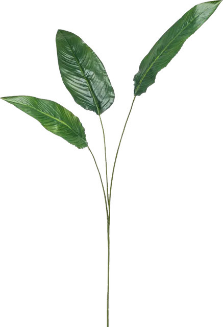 Künstliche Strelitzia Manu von Aplanta, Höhe: 135 cm - Bild 1