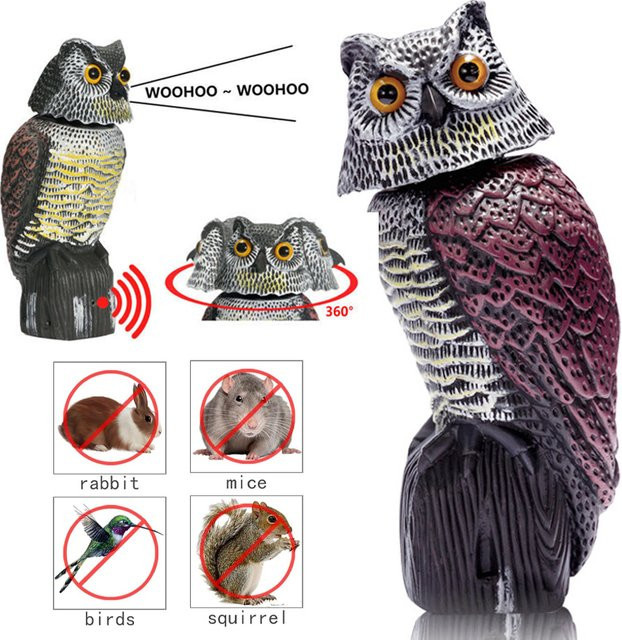 Eulen-Köder zur Vogelabwehr mit Kopfschüttel-Funktion in Schwarz - Bild 1
