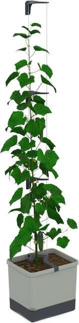 Gusta Garden Selbstbewässernder Gurkentopf Curt Cucumber mit Ranksystem Hellgrau - Bild 1