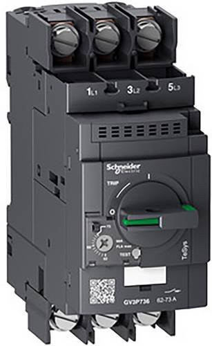 Schneider Electric GV3P736 Motorschutzrelais in Schwarz - Bild 1