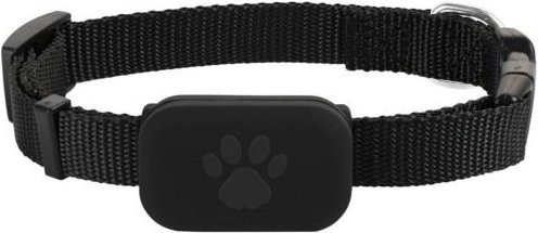 Wasserdichtes GPS-Halsband von Xingtengrui für Hunde und Katzen mit Live-Tracking und langer Akkulaufzeit, schwarz - Bild 1