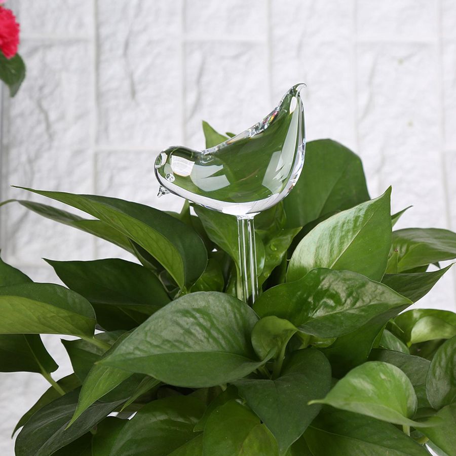 mfySpace Wasserspender für Zimmerpflanzen aus klarem Glas in Vogelform zur automatischen Selbstbewässerung - Bild 3