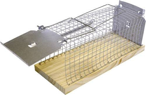 Swissinno Rat Classic Lebendfalle und eckiger Rattenkäfig - Bild 1
