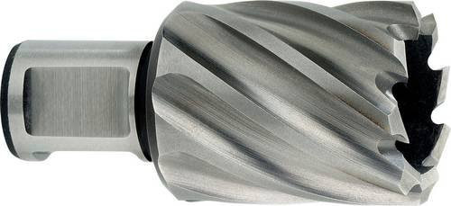 Metabo HSS-Kernbohrer in Silber mit 31 mm Durchmesser und 19 mm Weldonschaft - Bild 1