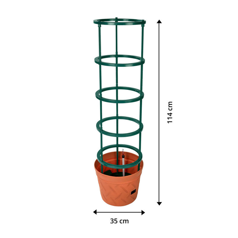 Genialo Tomaten-Pflanztopf 2 in 1 für den Gemüsegarten in Grün, B/T/H: 35,0 x 114,0 x 2,0 cm - Bild 2
