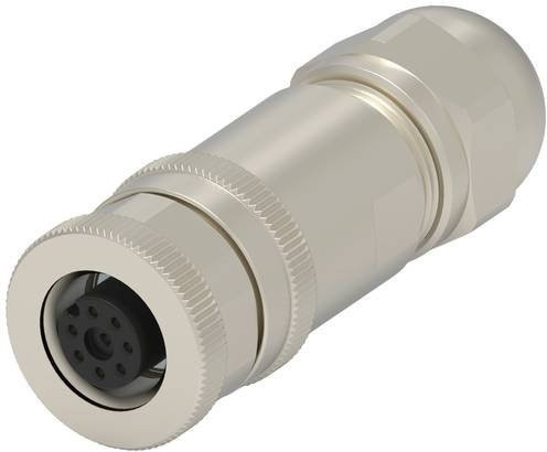 TE Connectivity T4110011081-000 Rundsteckverbinder in Gold und Silber - Bild 1
