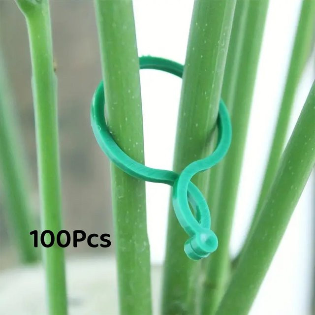 100 Stück Pflanzenbefestigungs-Clips aus Kunststoff in Grün für Garten und Outdoor - Bild 1