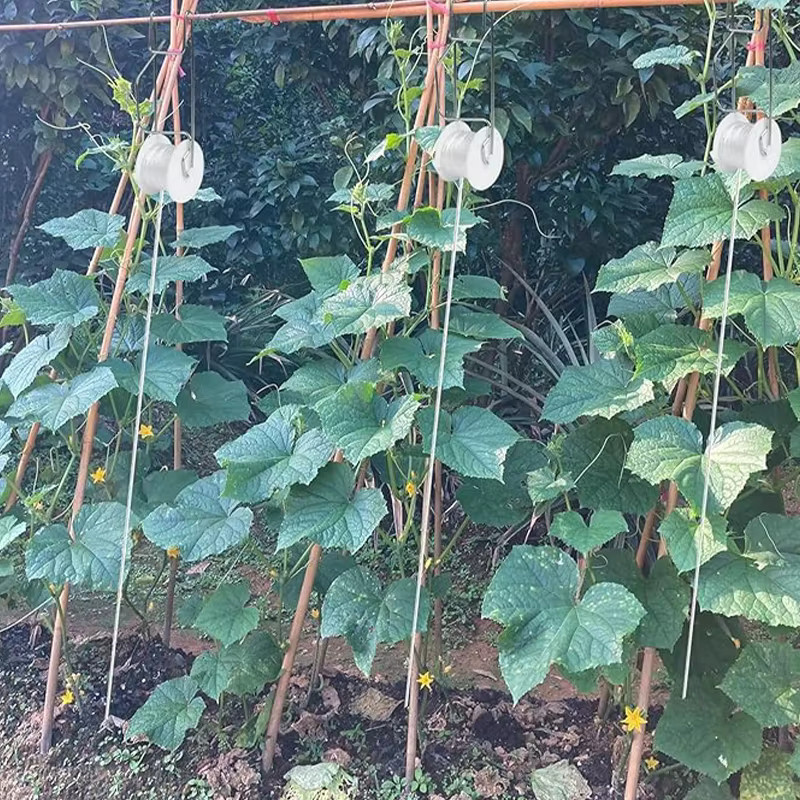 10er Set Gartenpflanzen-Rollhaken als Stützhaken-Set für Tomaten, Auberginen, Wassermelonen und Paprika - Bild 4