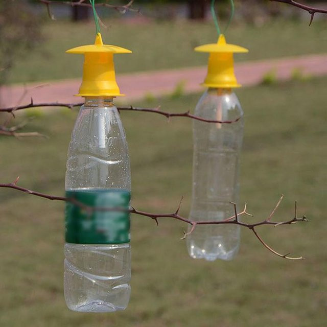 Shine Inuse Fruchtfliegenfalle Set zur Insektenbekämpfung, 5 Stück, Grau und Gelb - Bild 1