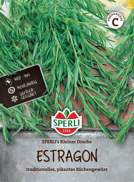 SPERLI Estragon-Samen Kleiner Drache - Bild 1