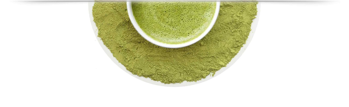 Matcha Premium, Grüntee, lose, 50 g - Bild 2