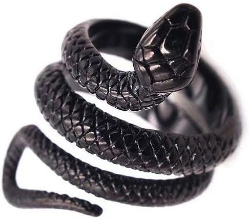 FOXANRY Jewelry Schlangenring, Edelstahl, Schwarz, Unisex - Bild 1