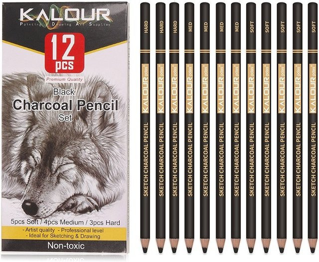 Professionelles Carbon Bleistift Set für Skizzen und Schattenmalerei in Graphit und Weiß für Künstler und Anfänger - Bild 1