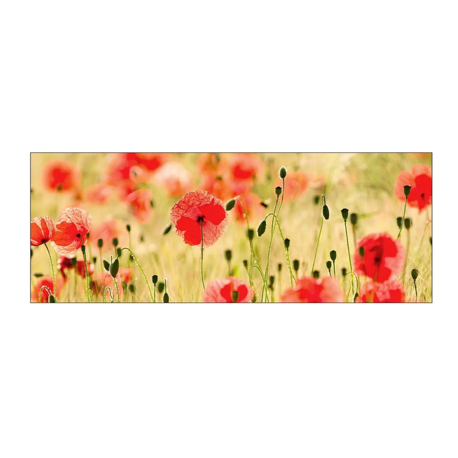 MySpotti Küchenrückwand Profix Cucina Mohnblüte in Rot, Breite: 160 cm, Höhe: 60 cm - Bild 2