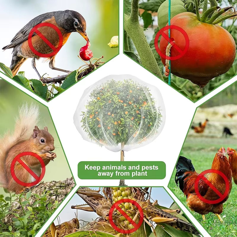 3er Set Insektennetz für Blumen und Obst in Weiß und Transparent mit Kordelzug und Reißverschluss - Bild 2