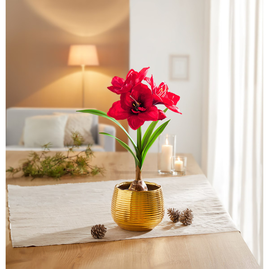 Viva Domo Amaryllis Kunstblume Set mit elegantem Übertopf in Rot und Gold - Bild 2