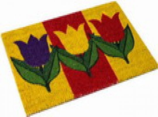 Intergard Fußmatte Tulpe mit Kokosfasern und rutschfester Gummierung, Mehrfarbig, B: 40 cm, T: 60 cm - Bild 1