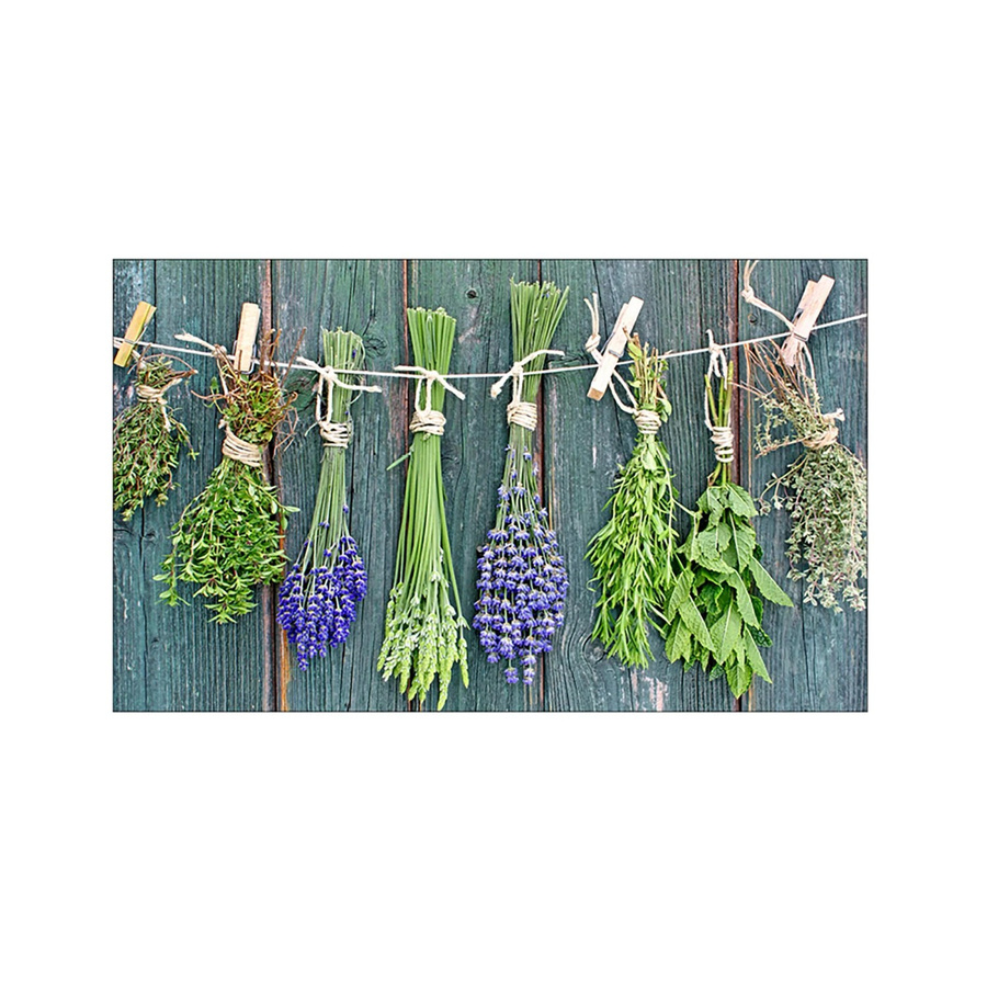 MySpotti Küchenrückwand Profix Cucina Kräuter Provence in Grün mit Aluminium-Finish, B: 100 cm, H: 60 cm - Bild 1