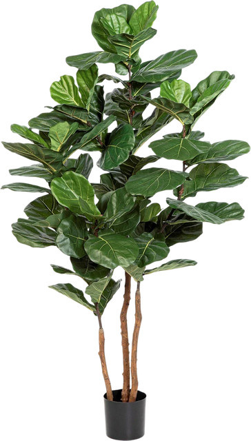 Künstliche Geigenfeige von artplants in Grün, Höhe: 190 cm - Bild 1