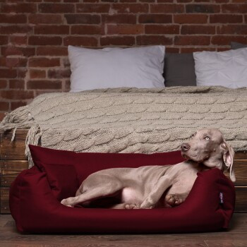 Tierlando NEMO Hundebett Hundesofa in Bordeaux Rot mit erhöhtem Rand und abnehmbarem Bezug, B/T/H: 100 x 80 x 25 cm - Bild 2
