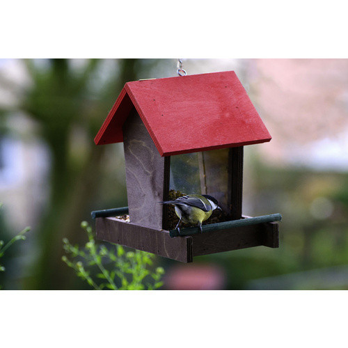 DOBAR Vogelfutterspender aus Holz und Acrylglas in Braun, Rot und Grün - Bild 2