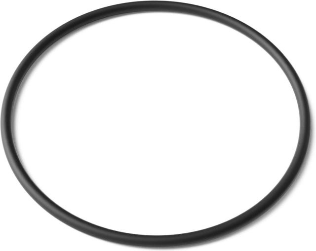 Sunsun Ersatzteil O-Ring für Cuv-218 Teichklärer und UVC-Filter in Schwarz - Bild 1