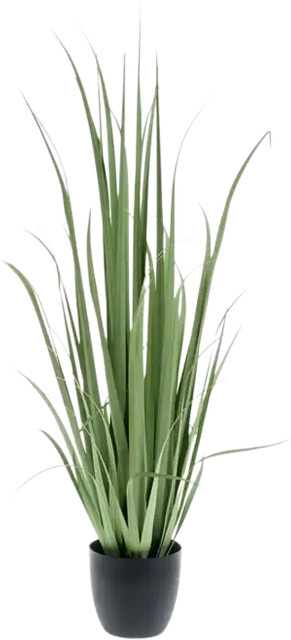 Künstliches Yucca Gras Iva von Aplanta, Höhe: 120 cm - Bild 1