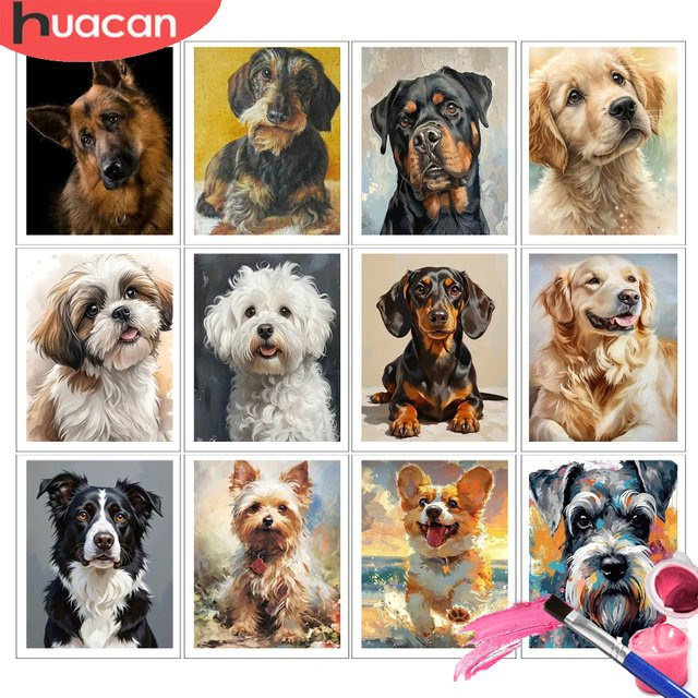 HUACAN Malen-nach-Zahlen-Set Hund Tier DIY-Bastelset mit Leinwand in Multicolor - Bild 1
