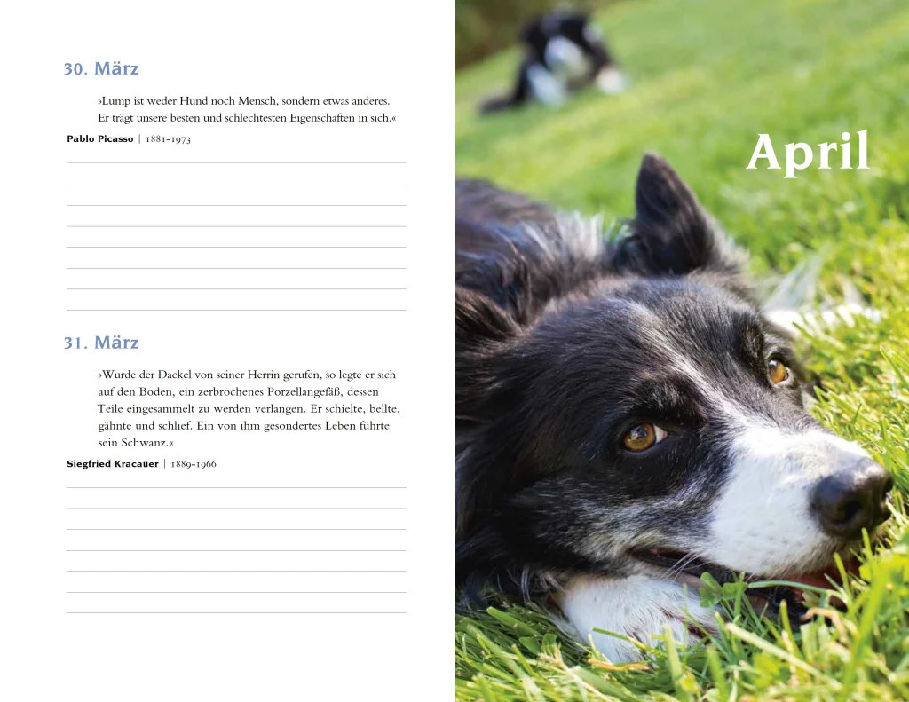Mit Hunden durch das Jahr Daily Kalender vom Insel Verlag in Multicolor - Bild 3