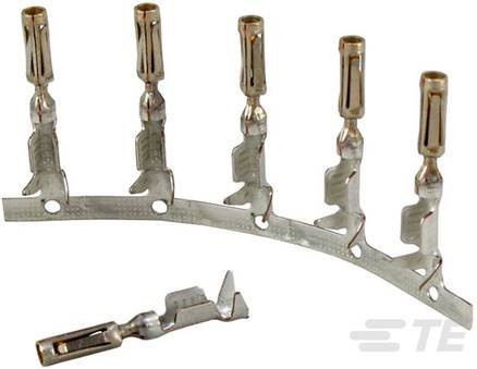 TE Connectivity 770520-3 Steckverbinder in Gold und Silber, 5000 Stück - Bild 1