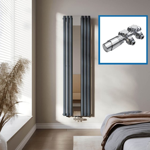 SONNI Röhrenheizkörper mit Spiegel in Anthrazit, Wandheizkörper mit Mittelanschluss, H x B: 180 x 50 cm - Bild 1