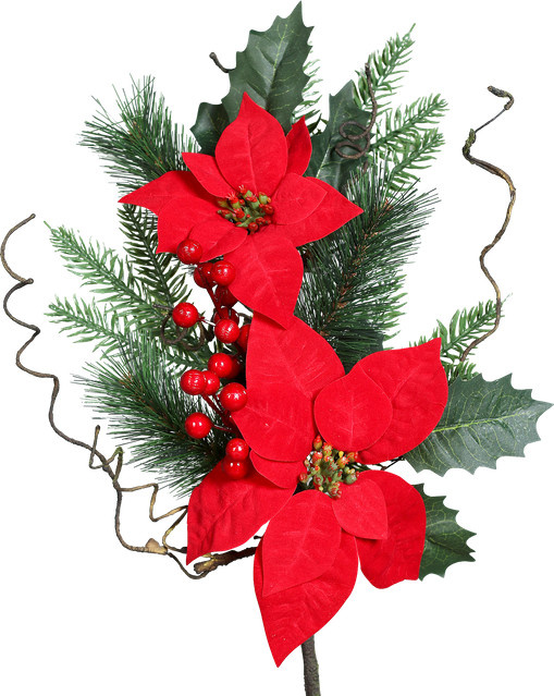 Künstlicher Poinsettia Zweig von Aplanta, Höhe: 49 cm - Bild 1