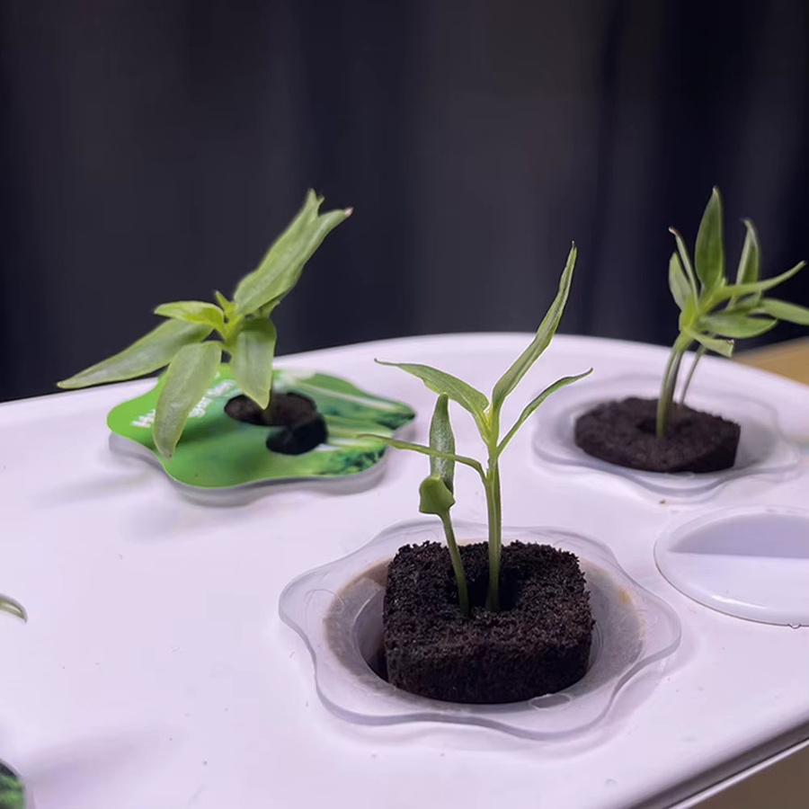 50 Stück Multiyilego Seed Starter Plugs für Hydrokultur in Braun - Bild 2
