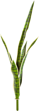 Künstliche Sanseveria Fin von Aplanta in Grün, Höhe: 81 cm