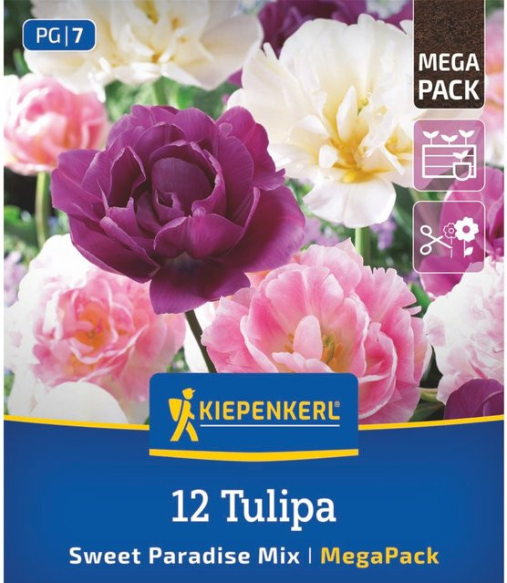 Kiepenkerl Blumenzwiebelmischung Sweet Paradise Mix, bunt, 12 Stück - Bild 1
