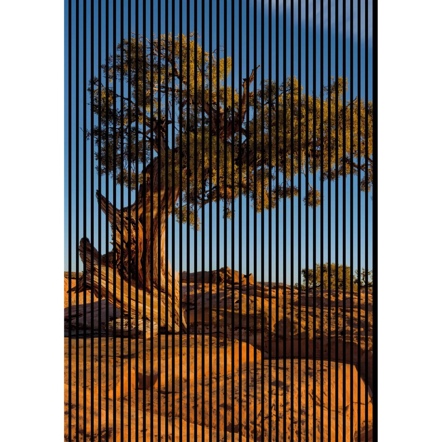FN Acustico Akustikplatte Steppe 1 in Bunt aus PET und MDF mit Klebefolie, H x B x T: 2.400 x 1.693 x 19 mm - Bild 2