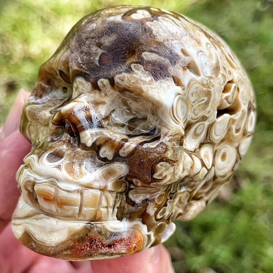 CRYSTALHOLA Natürlicher Schokoladenstein-Schädel in Braun mit Bernsteinband als 3D-geschnitzte Dekoration - Bild 5
