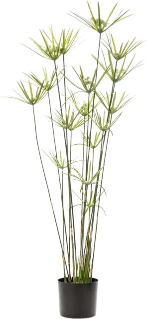Künstliches Zypergras Lilli von Aplanta, Höhe: 120 cm - Bild 1