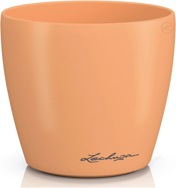 Lechuza Pflanzgefäß Classico Color Single Papaya in Orange, Durchmesser: 11 cm, Höhe: 10 cm - Bild 1