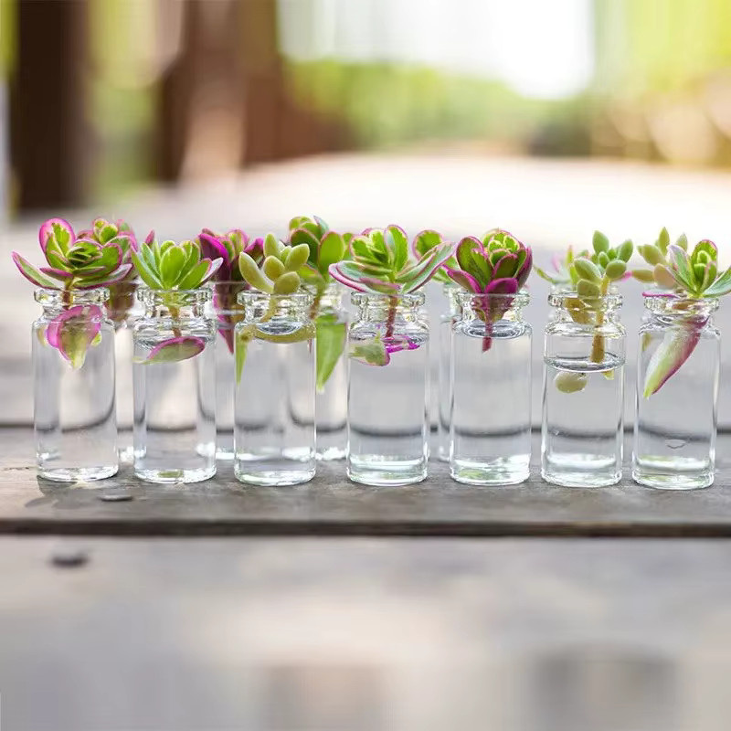 Transparente kleine Glasflaschen mit Korken für Bastelarbeiten und Geschenke - Bild 4
