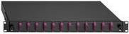 Rutenbeck Basic Line LWL-Spleißbox 24 Port LC-Duplex OM3 aqua in Schwarz und Blau, 1 HE - Bild 1