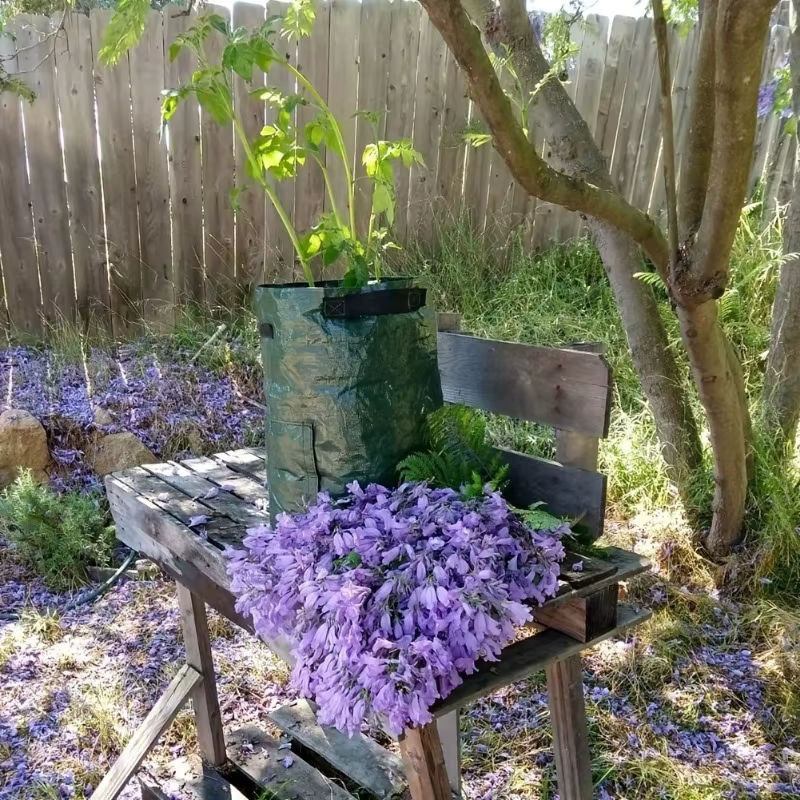 Garten Anbau Beutel aus PE für Gemüse wie Kartoffeln und Karotten zum Pflanzen im Freien - Bild 3