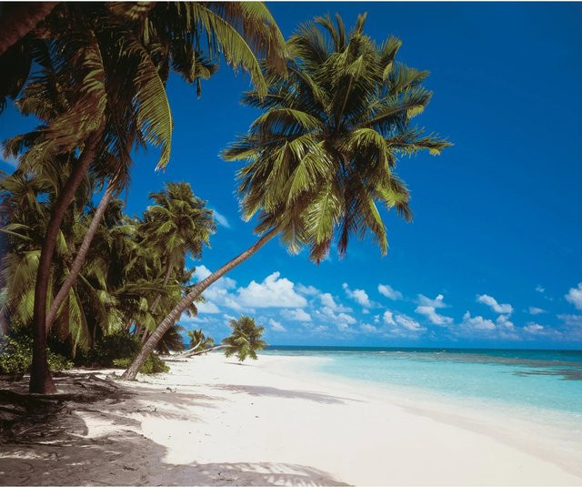 Komar Fototapete Maldives aus Vlies in Multicolour, B: 300 cm, H: 250 cm - Bild 1