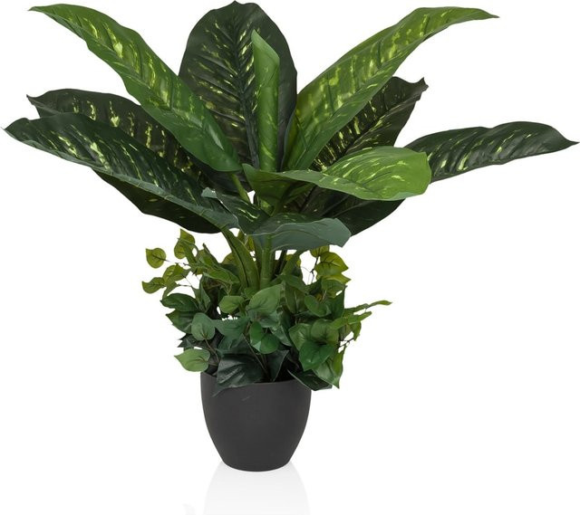 hjh OFFICE Kunstpflanze Dieffenbachia in Grün aus Kunststoff - Bild 1