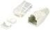 Digital Data Communications Equip PRO Netzwerkanschluss RJ-45 CAT 6 ungeschirmt, transparent/gold, 100er Packung - Bild 1