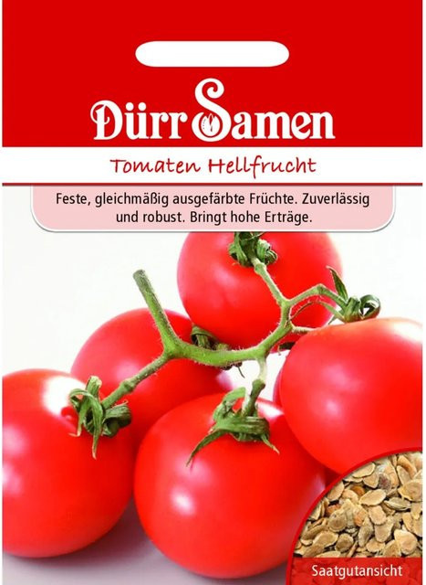Dürr Tomaten Hellfrucht Saatgut - Bild 1