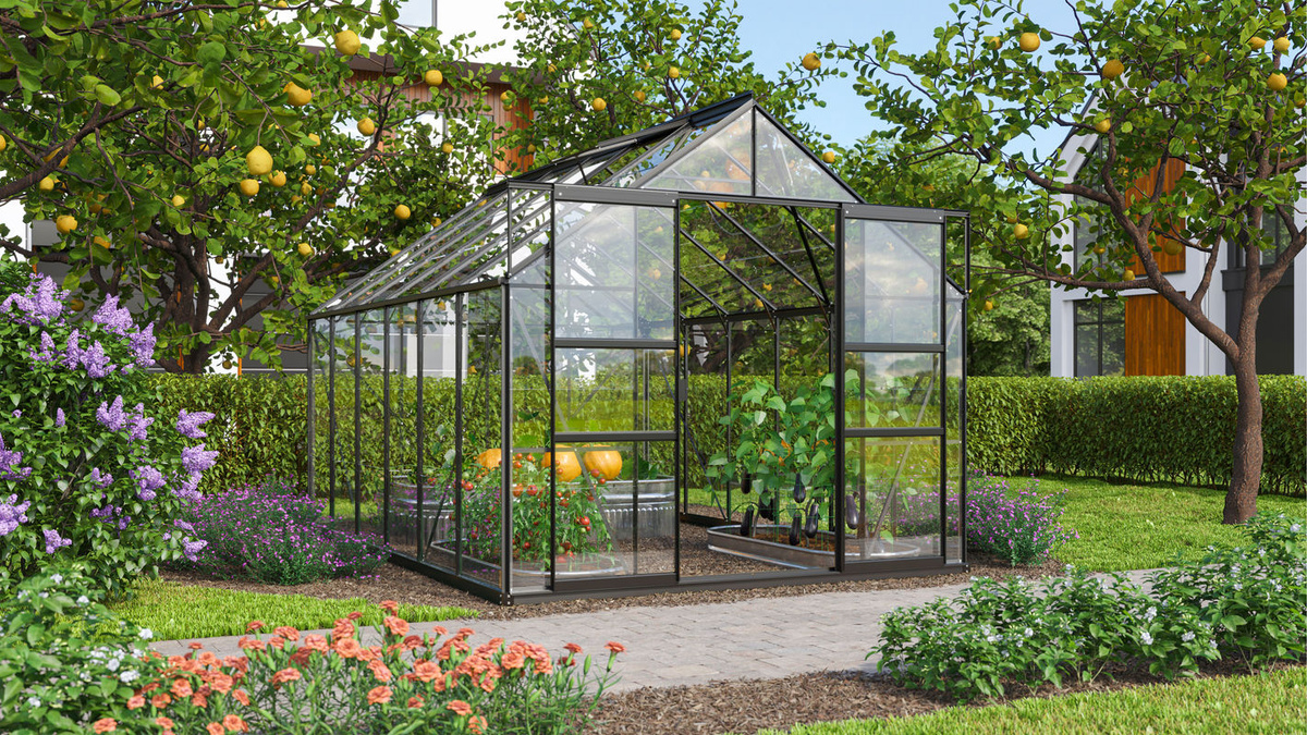Vitavia Gewächshaus Mars 9900 in Schwarz mit 9,9 m² Fläche und Einscheibensicherheitsglas - Bild 3