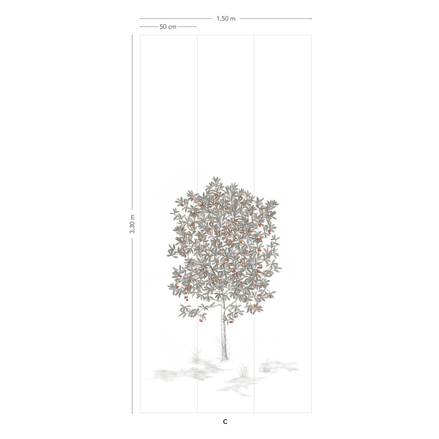 Isidore Leroy Vliestapete Arbustes Gris - Botanische Illustration in Grau, Rot und Weiß - Bild 1