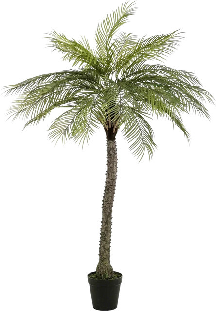 Künstliche Phoenix Palme Marun von Aplanta, Höhe: 200 cm - Bild 1