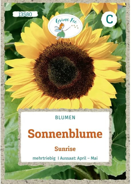 Grüne Fee Sonnenblume Sunrise Saatgut - Bild 1